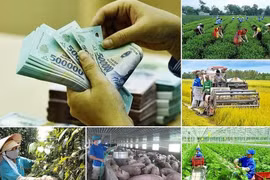 Không làm gián đoạn các chương trình mục tiêu quốc gia khi thực hiện chính quyền địa phương 2 cấp