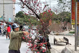 Ngày 29 Tết, giá mặt hàng nào tăng mạnh nhất?