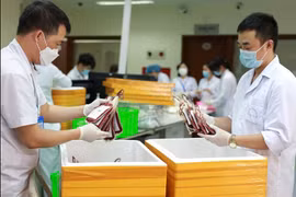 Hải Phòng: Dự trữ hơn 3.000 đơn vị máu, phục vụ nhu cầu chữa bệnh của người dân dịp Tết