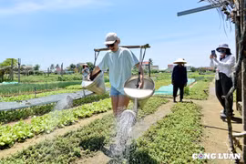 Sức hấp dẫn của làng rau Trà Quế - làng du lịch tốt nhất năm 2024 của Liên hợp quốc