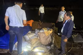Kiên Giang: Phát hiện 60 tấn đường cát vi phạm nguồn gốc xuất xứ