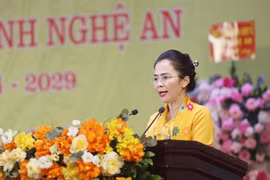 Đồng chí Võ Thị Minh Sinh giữ chức Phó Bí thư Tỉnh ủy Nghệ An