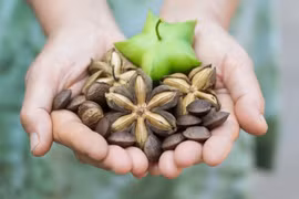 Omega 3-6-9 – Lá chắn tự nhiên cho người mỡ máu cao và tim mạch