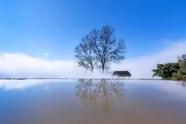 Lào Cai công bố nhãn hiệu ‘Du lịch Y Tý’