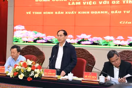 Gia Lai, Kon Tum cần phát triển ngành công nghiệp sâm như mô hình của Hàn Quốc
