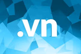 Sử dụng tên miền quốc gia .vn có thể phải trả phí 40 triệu đồng/năm