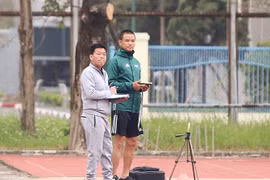 Phó trưởng Ban trọng tài VFF bị miễn nhiệm vì sai phạm