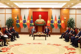 Phát huy tiềm năng hợp tác song phương giữa Việt Nam - Brazil