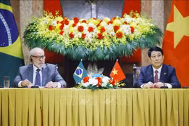 Chủ tịch nước Lương Cường hội đàm với Tổng thống Brazil Lula da Silva