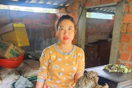 Gia Lai: Khởi tố người phụ nữ tàng trữ rắn hổ chúa và chồn bay tại nhà