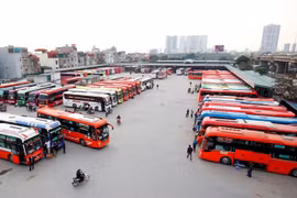 Bộ Xây dựng yêu cầu thực hiện nghiêm quy định kinh doanh vận tải bằng xe ô tô