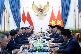 Tổng Bí thư Tô Lâm hội đàm với Tổng thống Indonesia Prabowo Subianto