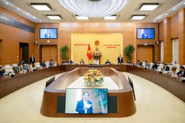 Cử tri kỳ vọng việc phát triển nhà ở xã hội sẽ đạt được những kết quả mong đợi