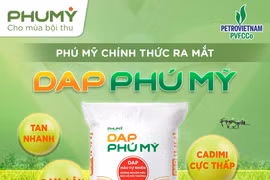 PVFCCo – Phú Mỹ chính thức ra mắt DAP Phú Mỹ, mở rộng danh mục sản phẩm và cung ứng nguồn phân bón chất lượng cao cho thị trường