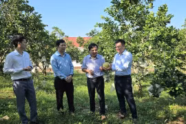 Nghệ An hướng đến giảm nghèo thực chất và bền vững