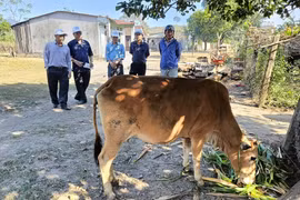 Thực hiện đồng bộ các giải pháp để giảm nghèo bền vững