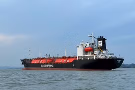 GAS Shipping (GSP) chuẩn bị trả cổ tức năm 2024 bằng cổ phiếu, nâng vốn điều lệ lên hơn 675 tỷ đồng