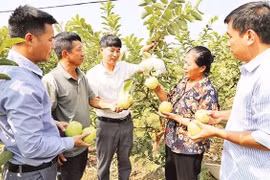 Bắc Ninh giảm nghèo bằng công nghệ và tri thức
