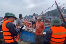 Bộ đội Biên phòng thực hiện phương châm “4 tại chỗ” ứng phó với bão số 3