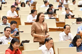 Đề nghị quy định tách bạch hoạt động thanh tra, kiểm tra để tránh chồng chéo