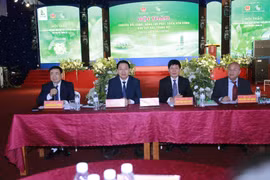 Phát triển bền vững khu vực Bắc Trung bộ từ Chuyển đổi xanh