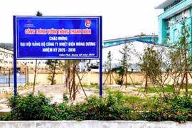 Phát huy sức trẻ của đoàn viên thanh niên Công ty Nhiệt điện Mông Dương