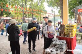 Festival Thu Hà Nội 2025 thu hút đông đảo người dân và khách tham quan