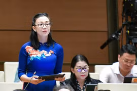 Sáp nhập đại học là 'cú hích chiến lược' kịp thời, không phải 'giải pháp tình thế'