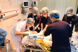 Cấp cứu ngoại viện quyết định trực tiếp đến cơ hội sống còn của người bệnh