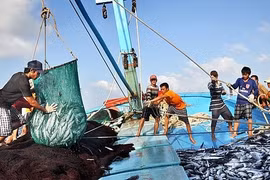 Nỗ lực gỡ thẻ vàng IUU trong năm 2025: Cơ hội phát triển kinh tế biển xanh, bền vững