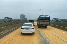 Làm rơi 3 tấn ngô trên cao tốc, lái xe bị xử phạt