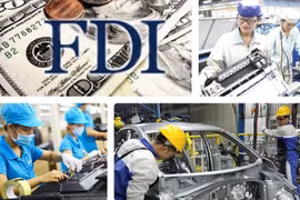Phó Thủ tướng Nguyễn Chí Dũng chỉ đạo rà soát về phản ánh doanh nghiệp FDI báo lỗ ngày càng tăng