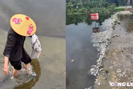 Thanh Hoá: Cá chết trên suối Cổ Đam là do ô nhiễm nguồn nước