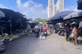 Hà Nội triển khai công tác quản lý chợ, xử lý "chợ cóc", điểm kinh doanh tự phát