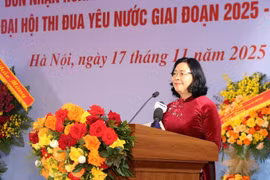 Đối ngoại nhân dân cần 'chủ động thích ứng, đột phá, sáng tạo, thiết thực, hiệu quả'