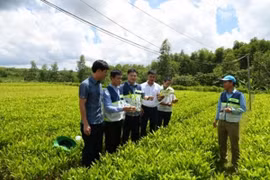 Đăng ký Quỹ hợp tác xã địa phương: 1 bộ hồ sơ, hoàn tất trong 3 ngày làm việc