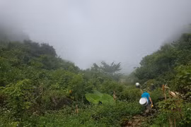 Người dân Cộp My khao khát một con đường