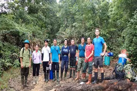 Phát hiện thêm nhiều loài lưỡng cư quý hiếm trong Vườn quốc gia Hoàng Liên