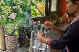Lan tỏa lối sống xanh, phát triển du lịch bền vững