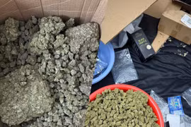 Phát hiện lượng lớn ma túy núp bóng dưới dạng thực phẩm, thuốc lá điện tử
