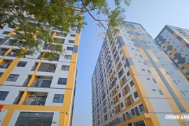 Hải Phòng: Khánh thành 7 tòa nhà ở xã hội quy mô gần 2.000 căn hộ