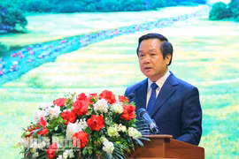 Ninh Bình phân công Chủ tịch và các Phó Chủ tịch trực tiếp theo dõi từng xã, phường