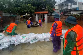 Hà Nội chủ động ứng phó với lũ đặc biệt lớn trên sông Cầu, sông Thương