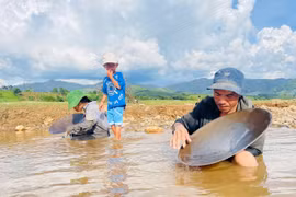 Quảng Ngãi: Người dân đánh cược mạng sống, đổ xô ra sông Pô Kô đãi cát, tìm vàng
