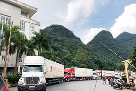 Ưu tiên thông quan mặt hàng nông lâm thủy sản, đặc biệt là sầu riêng