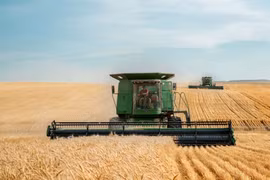 ‏Nga chiếm thị phần lúa mì của Ukraine tại châu Á và châu Phi‏