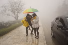 Lào Cai: Chỉ đạo hỏa tốc ứng phó với thời tiết rét đậm, rét hại