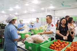 Phối hợp liên ngành trong kiểm soát thực phẩm giả, phòng chống buôn lậu