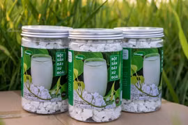 Hành trình xây dựng thương hiệu OCOP 4 sao ‘Bột sắn dây xứ Đoài’