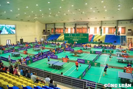 Giải Bóng bàn Cúp Hội Nhà báo Việt Nam 2025: Sân chơi thể thao sôi nổi của giới báo chí cả nước